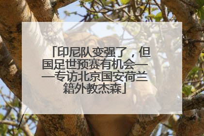 印尼队变强了，但国足世预赛有机会——专访北京国安荷兰籍外教杰森